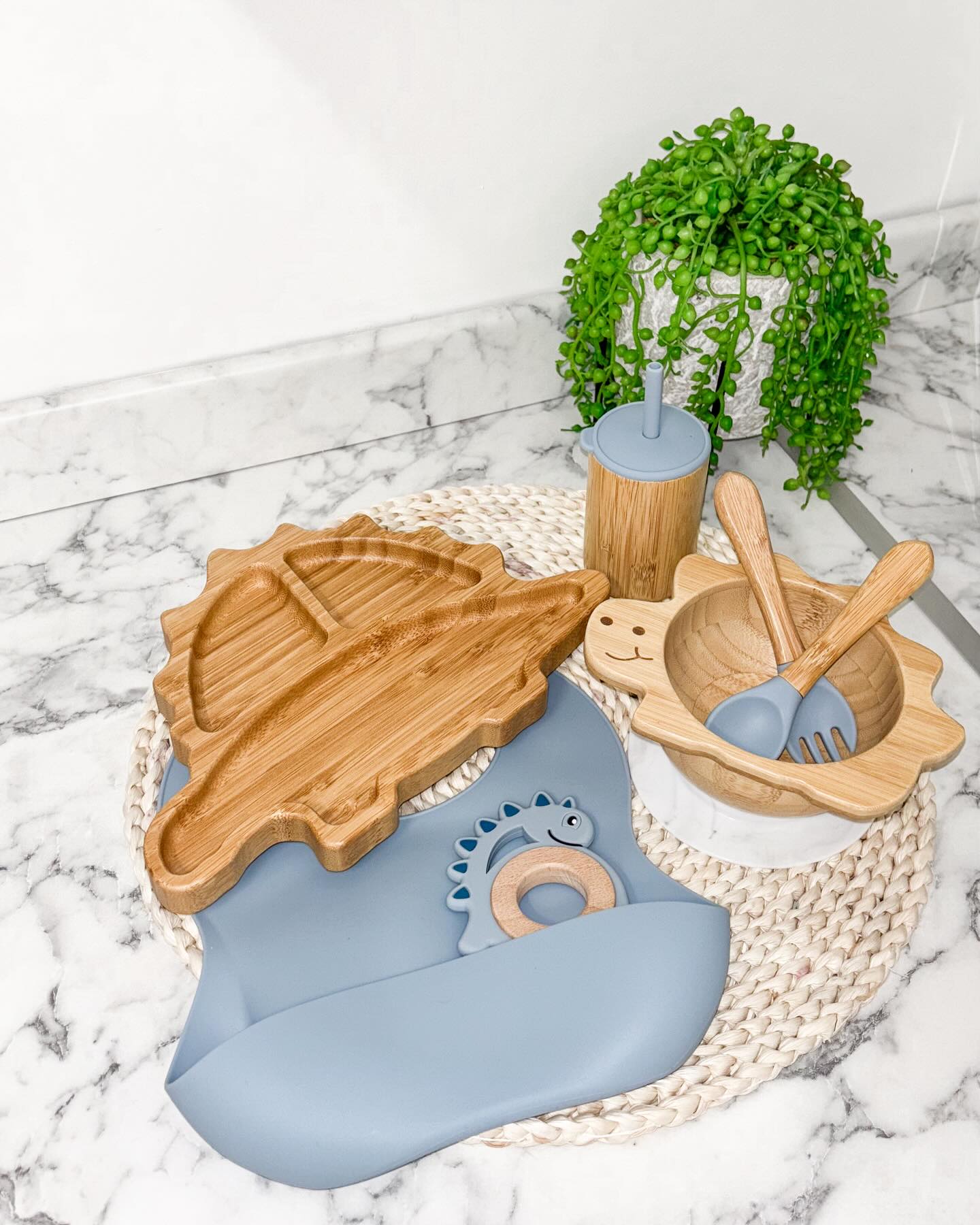 Dinosaur - Bamboo Tableware Set