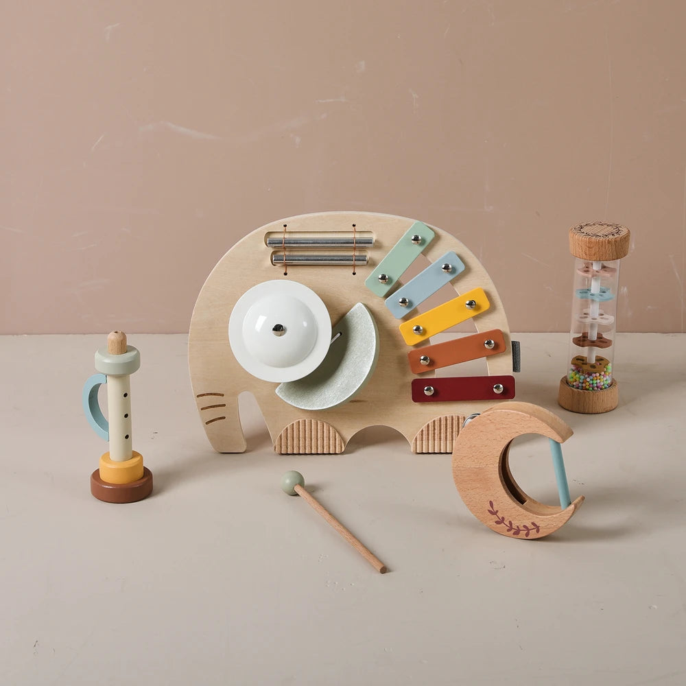 Wooden Montessori Musical Instrument set for Children 0-3 Years