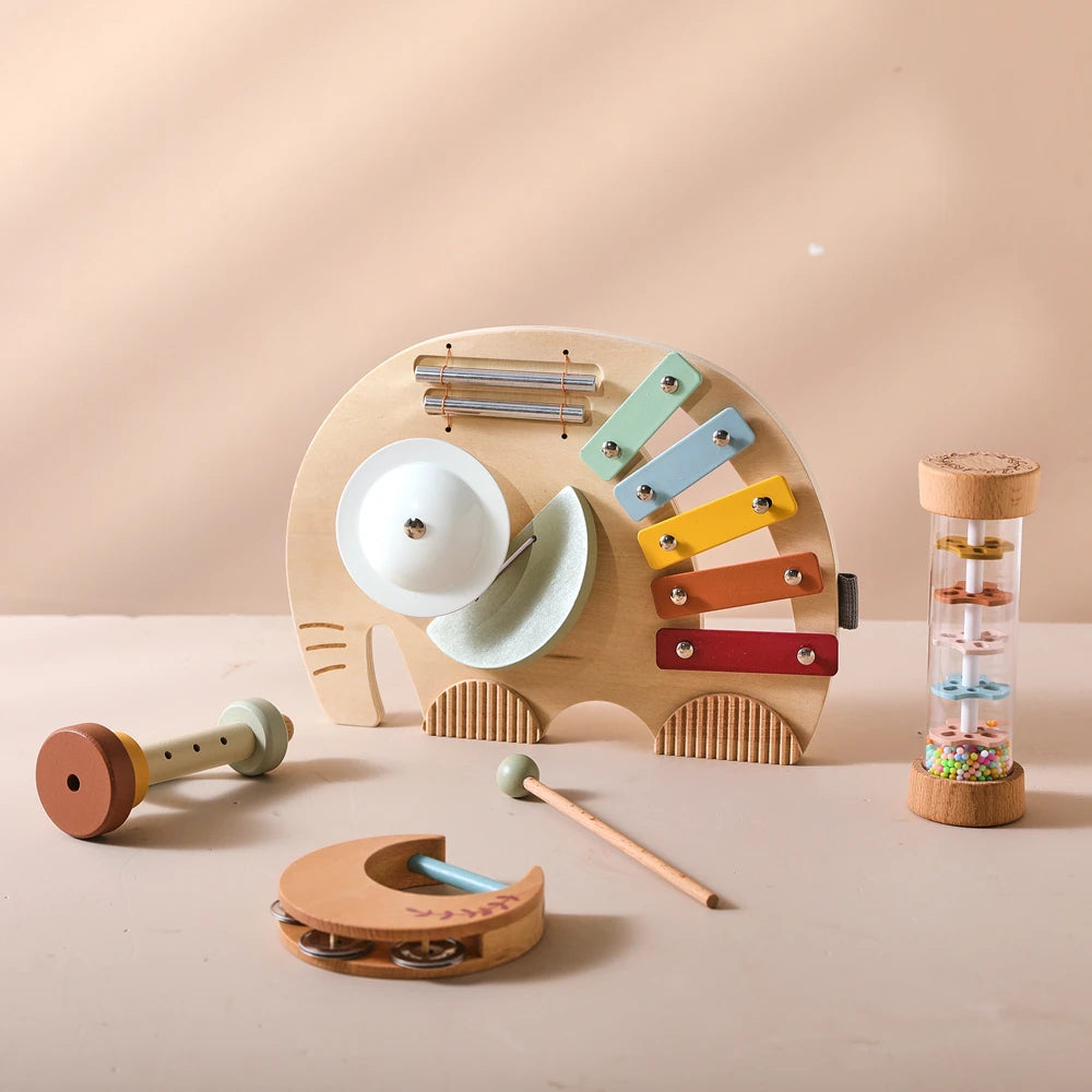 Wooden Montessori Musical Instrument set for Children 0-3 Years
