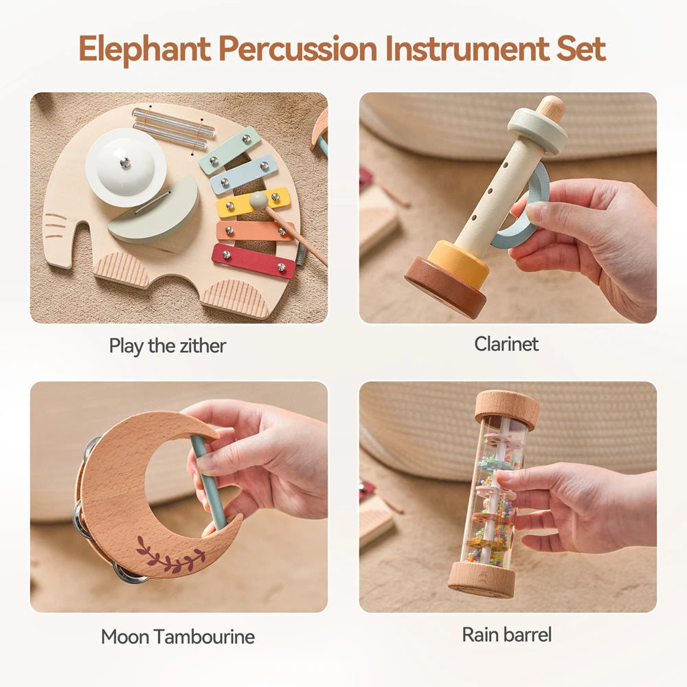 Wooden Montessori Musical Instrument set for Children 0-3 Years