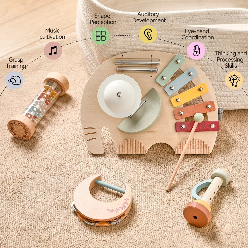 Wooden Montessori Musical Instrument set for Children 0-3 Years